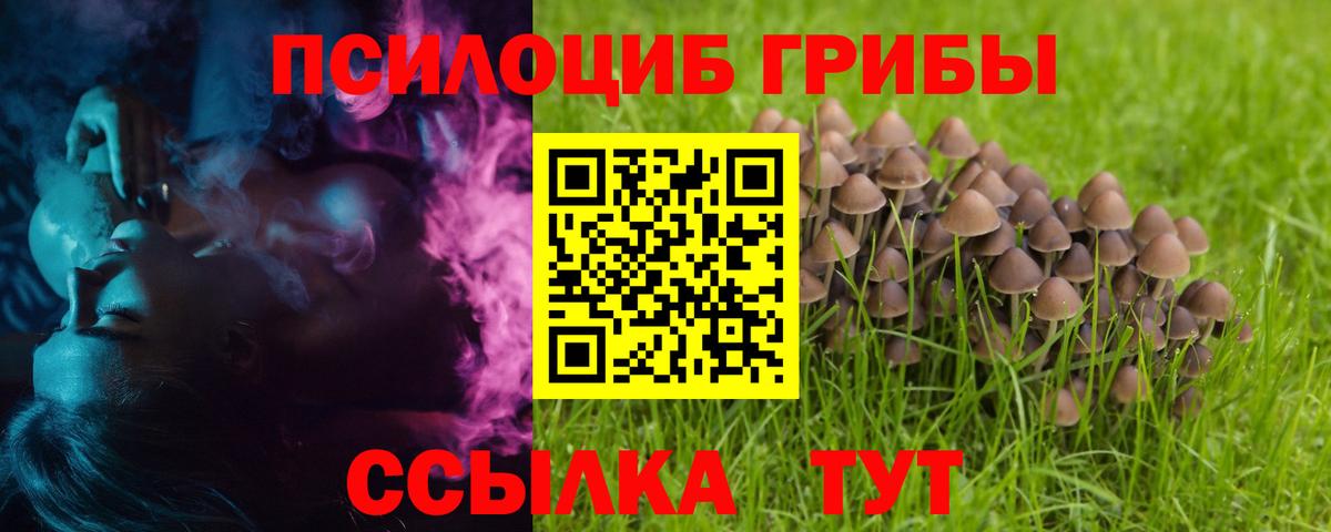 Новотроицк  Псилоцибиновые грибы Cubensis  купить   Вход с VPN 